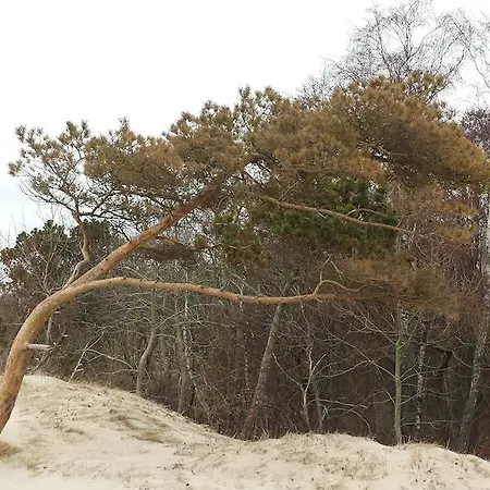 Апартаменты Ramaus Poilsio Apartamentai